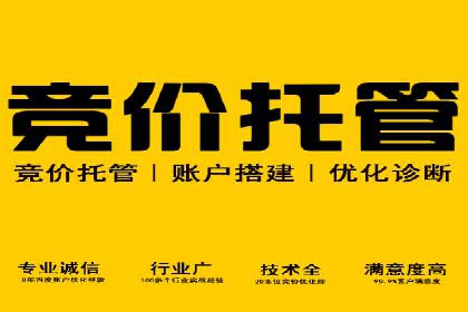 案例展示：SEM账户托管服务成果